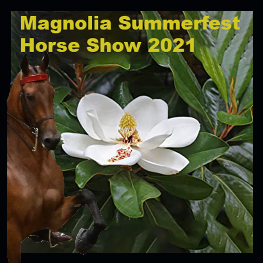 Magnolia Summerfest 2024 Rona Vonnie