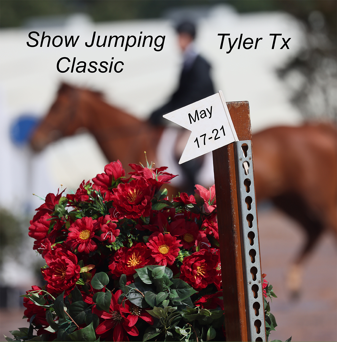 Show Jumping Classic Horse Show Galleries 2023 Horse Shows Jerry