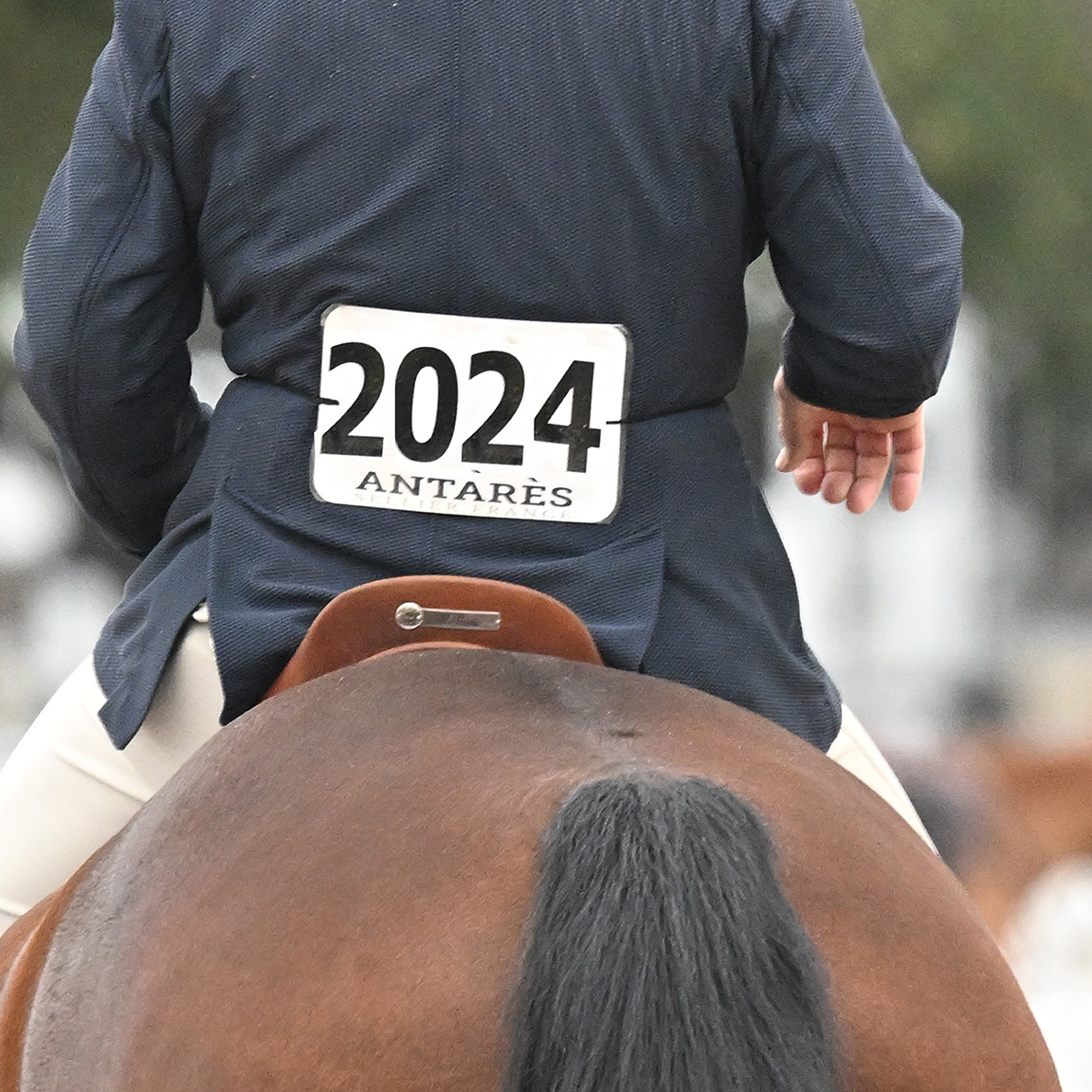 Horse Show Galleries 2024 Horse Shows Jerry Mohme Photography